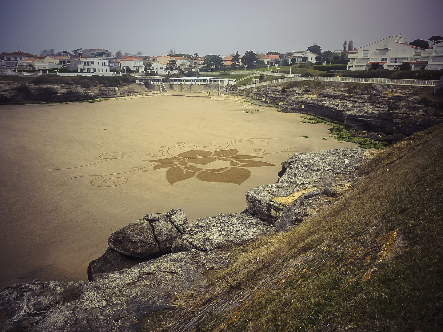 Beach art lotus