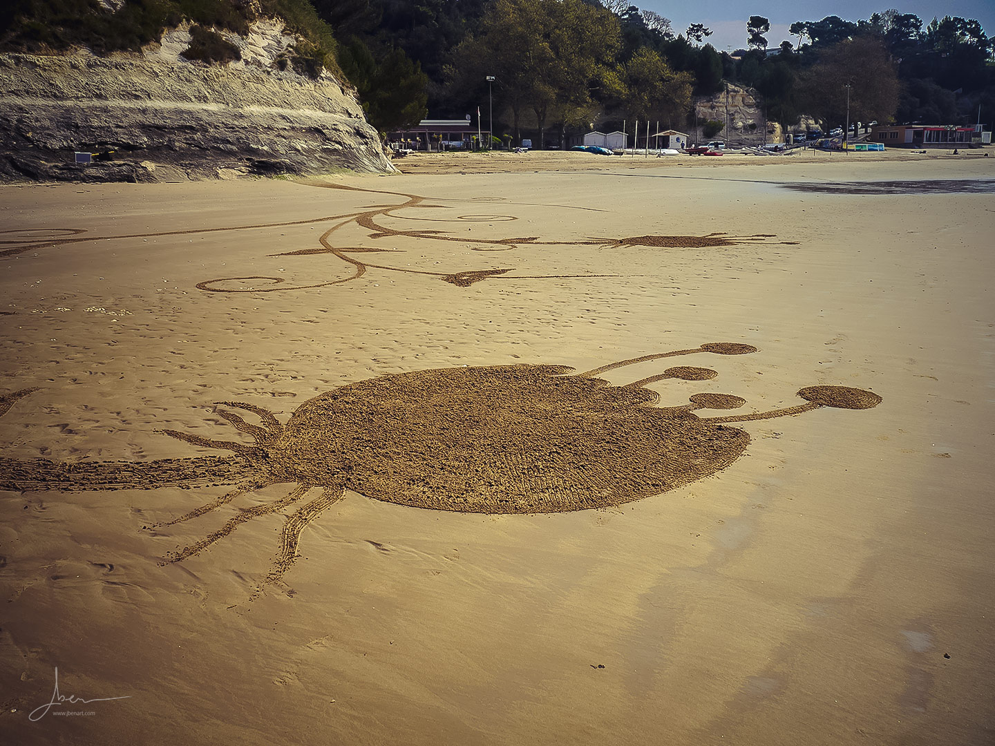 Beach art colibri