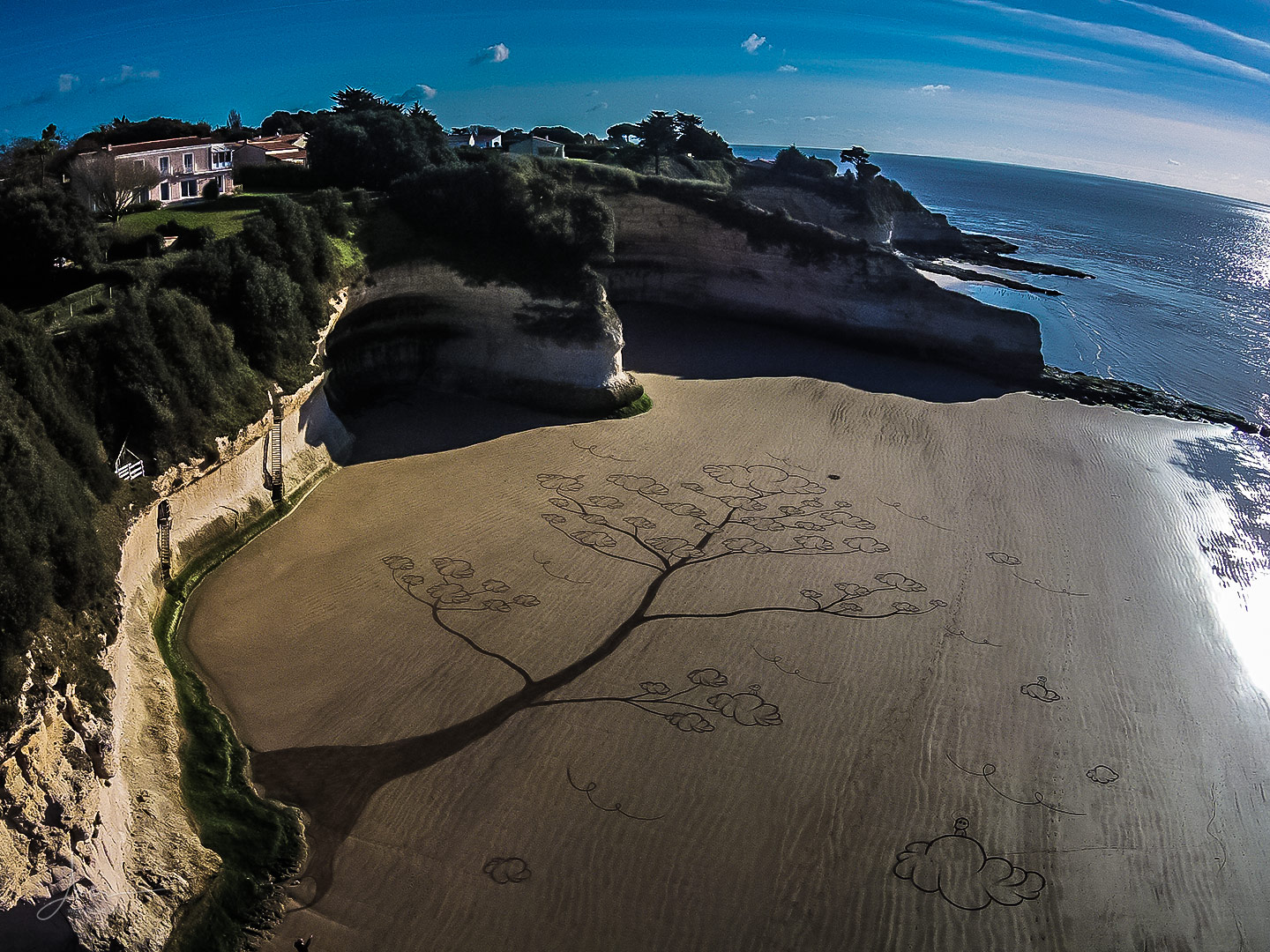 Beach art arbres à rêves