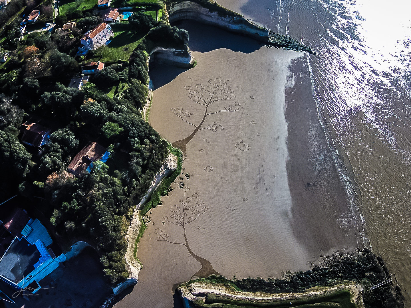 Beach art arbres à rêves