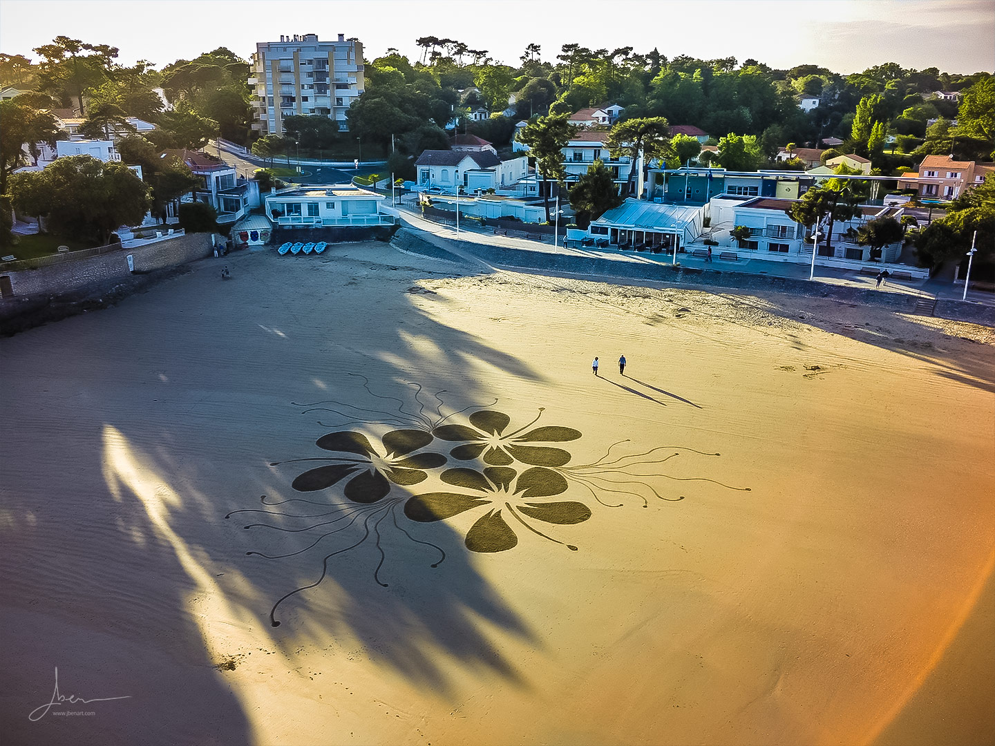 Beach art Ibiscus