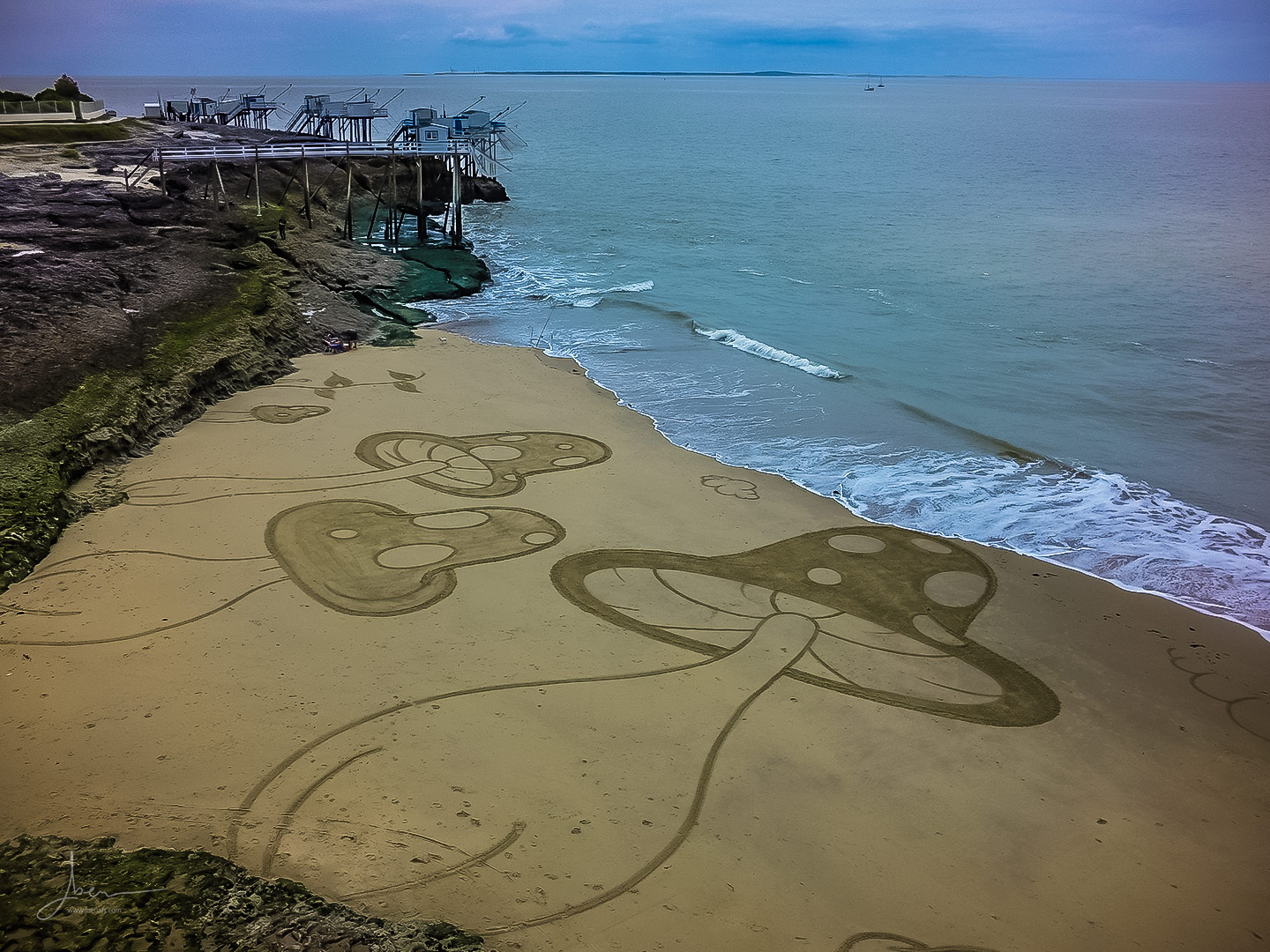 Beach art champignons fous