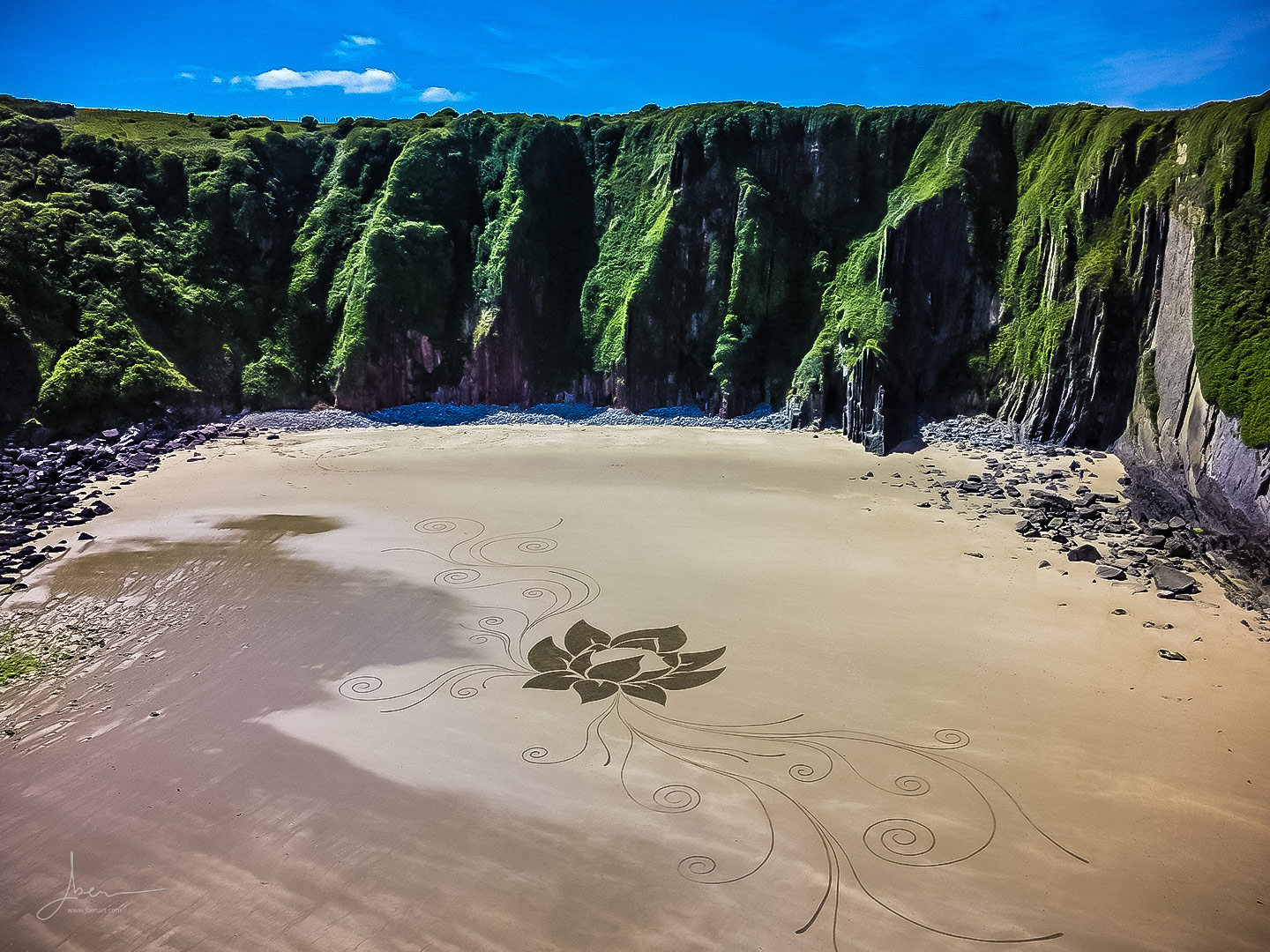 Beach art lotus perdu