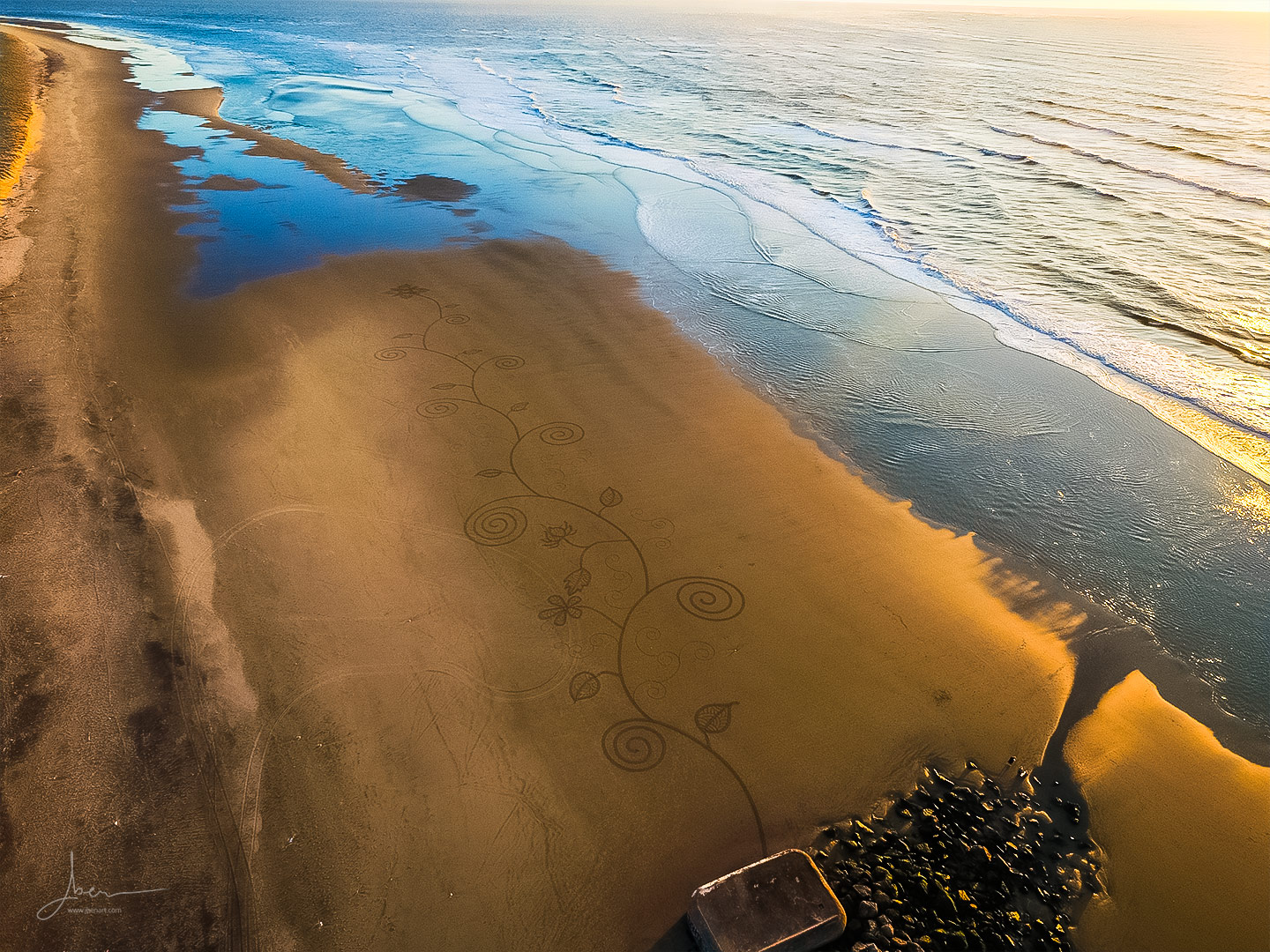 Beach art floralitude