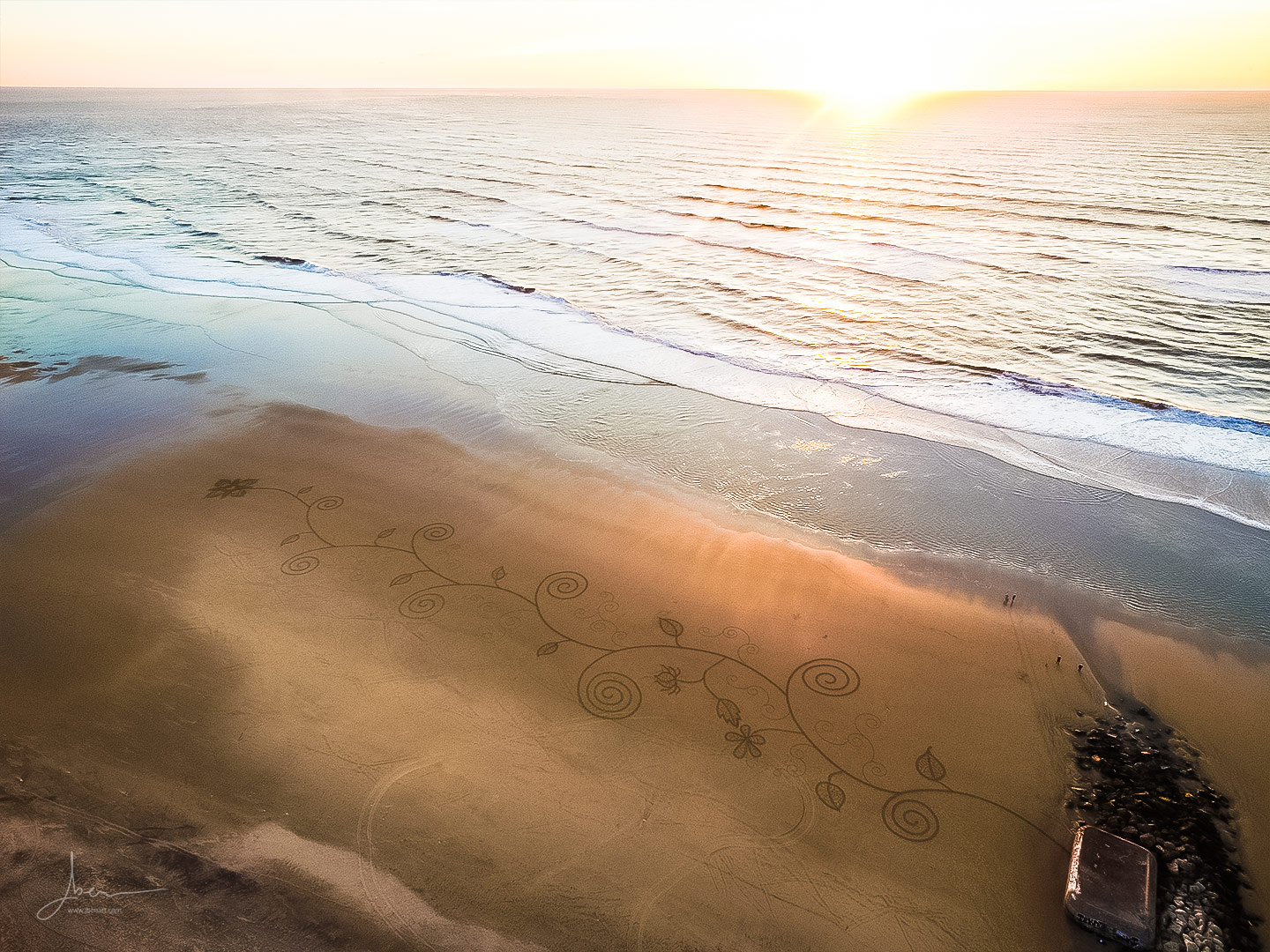 Beach art floralitude